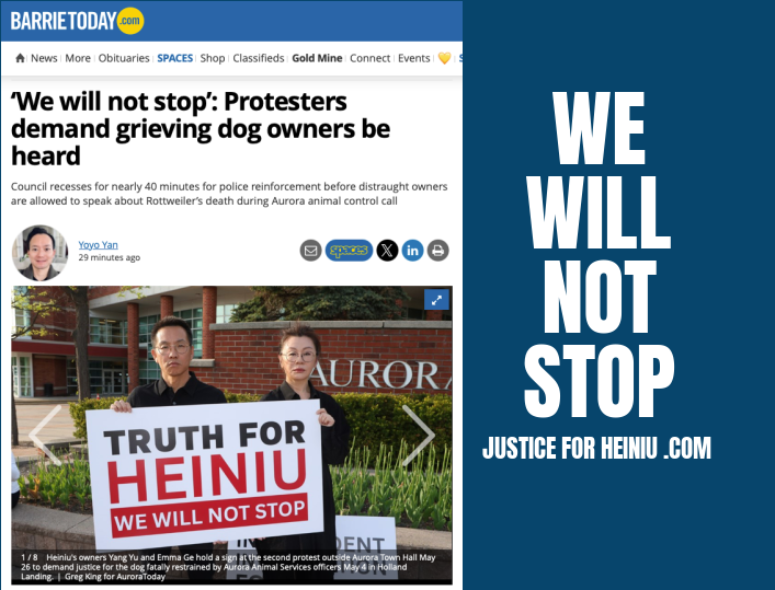 HEINIU IN THE PRESS