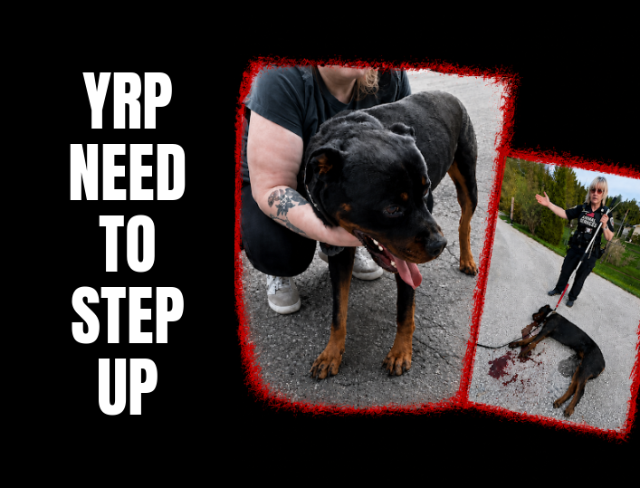 ST. THOMAS POLICE OUTSHINE YRP | AURORA