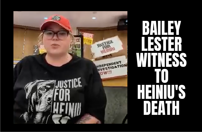 HEINUI WITNESS SPEAKS TO COUNCIL