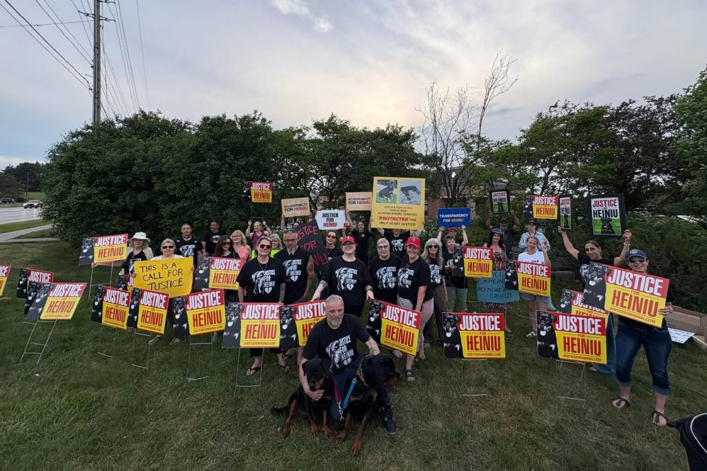 STANDING UP FOR ANIMALS – NOT A SPECTATOR SPORT