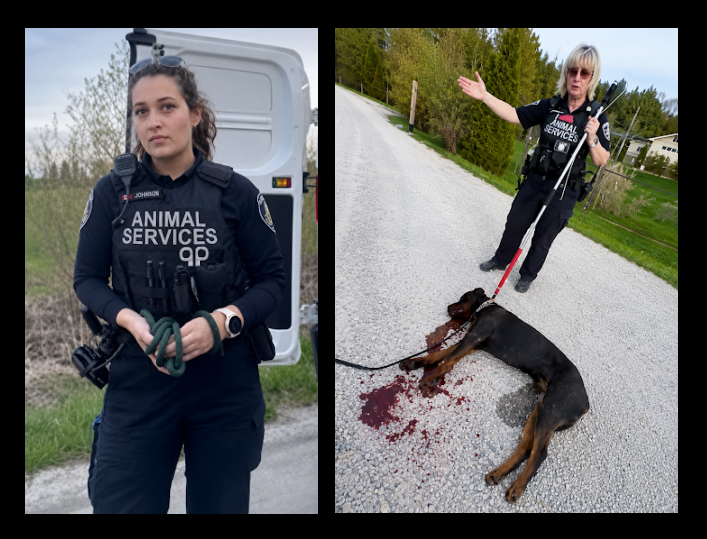 VIDEO: AURORA AC OFFICER NOEMI VISZMEG