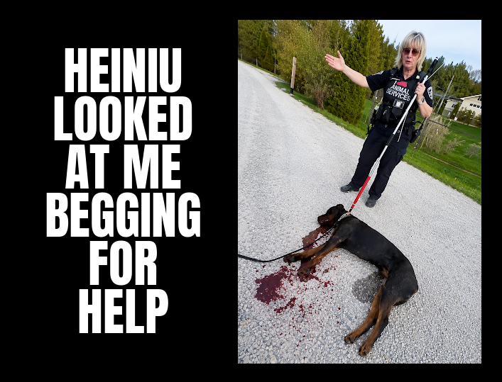 HEINIU LOOKED AT ME BEGGING FOR HELP!