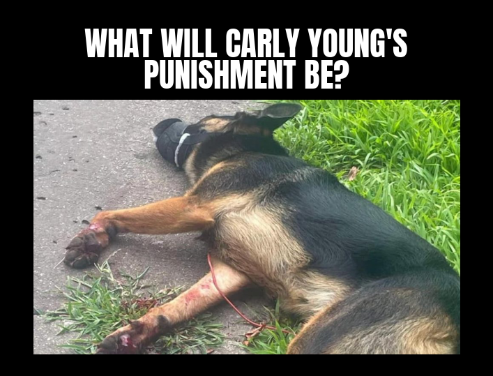 DAKOTA IS DEAD. WHAT WILL THE PUNISHMENT BE?