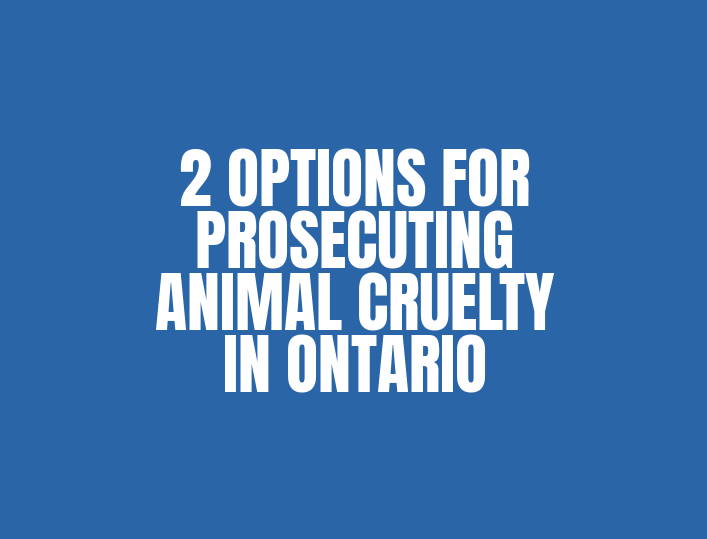 PROSECUTING ANIMAL CRUELTY IN ONTARIO