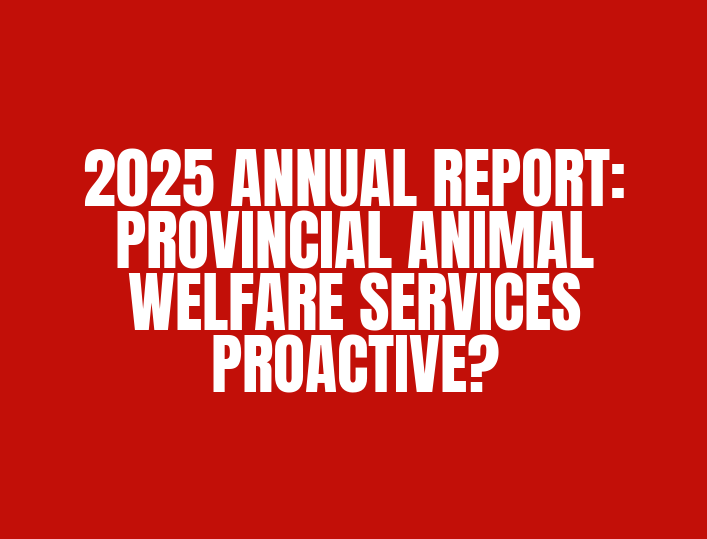 ANIMAL WELFARE SERVICES – PROACTIVE?