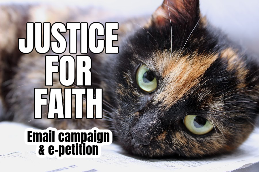 JUSTICE FOR FAITH – YOUR VOICE MATTERS